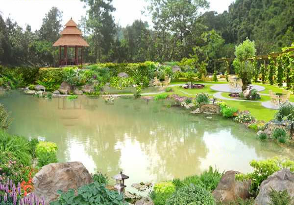 Thiết kế, thi công Tiểu cảnh sân vườn tại TP Vinh Nghệ An